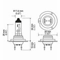 Hella BULB H7 12V 55W PX26D T4.625(2) H7TB